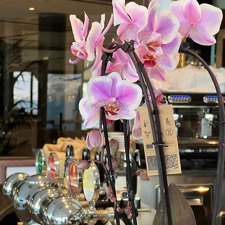 Hotel Wind 3*